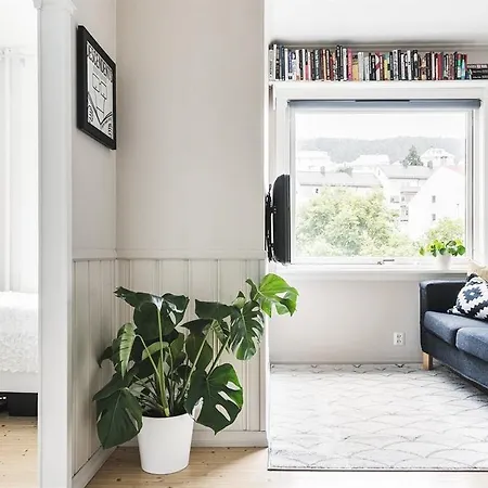 Cozy Close To Center & University Leilighet